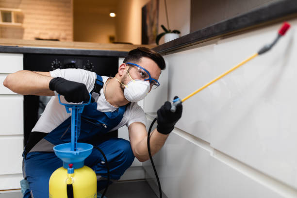 Best Pest Control Near Me in Indian Harbour Beach, FL